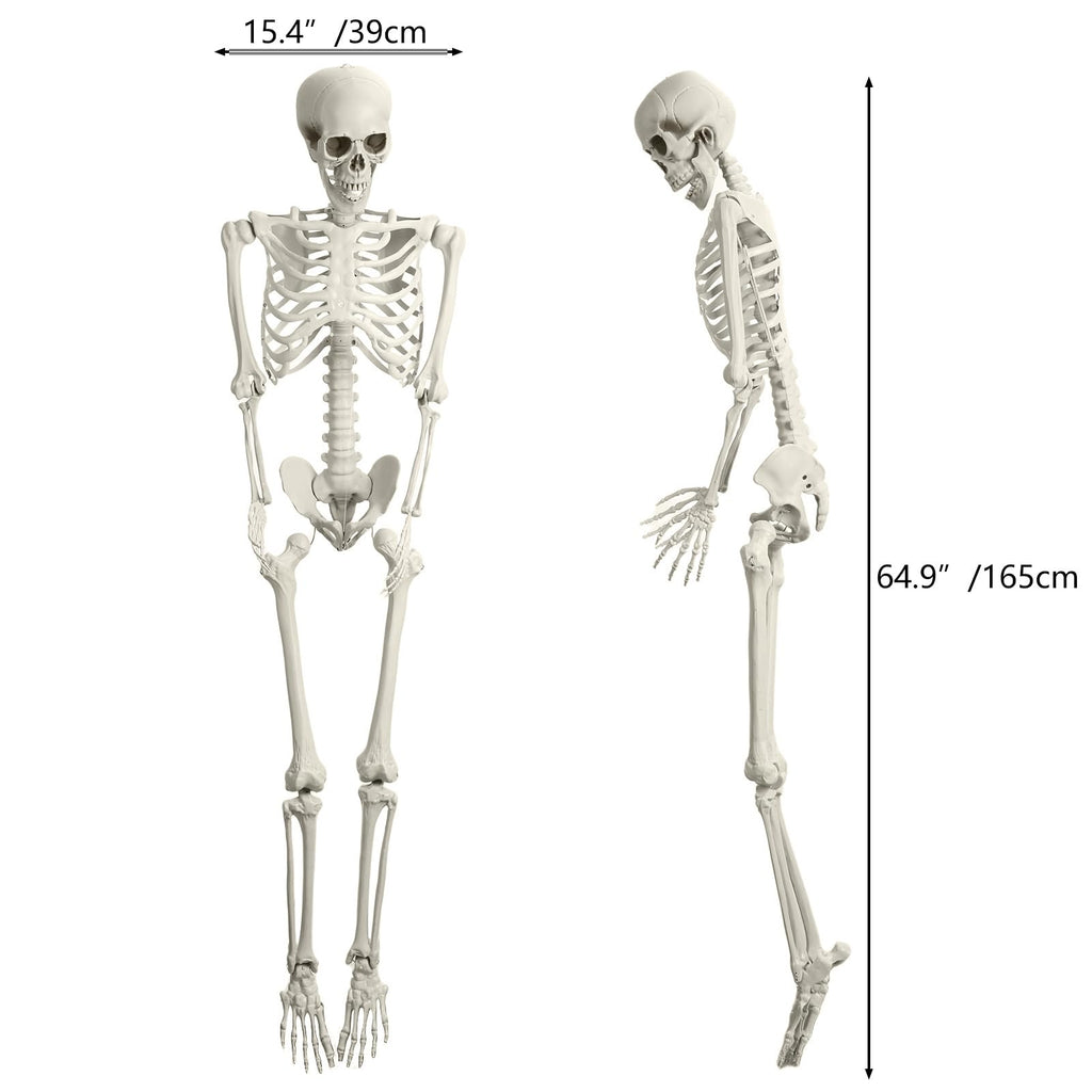 Life Size Poseable Skeleton Prop T1147