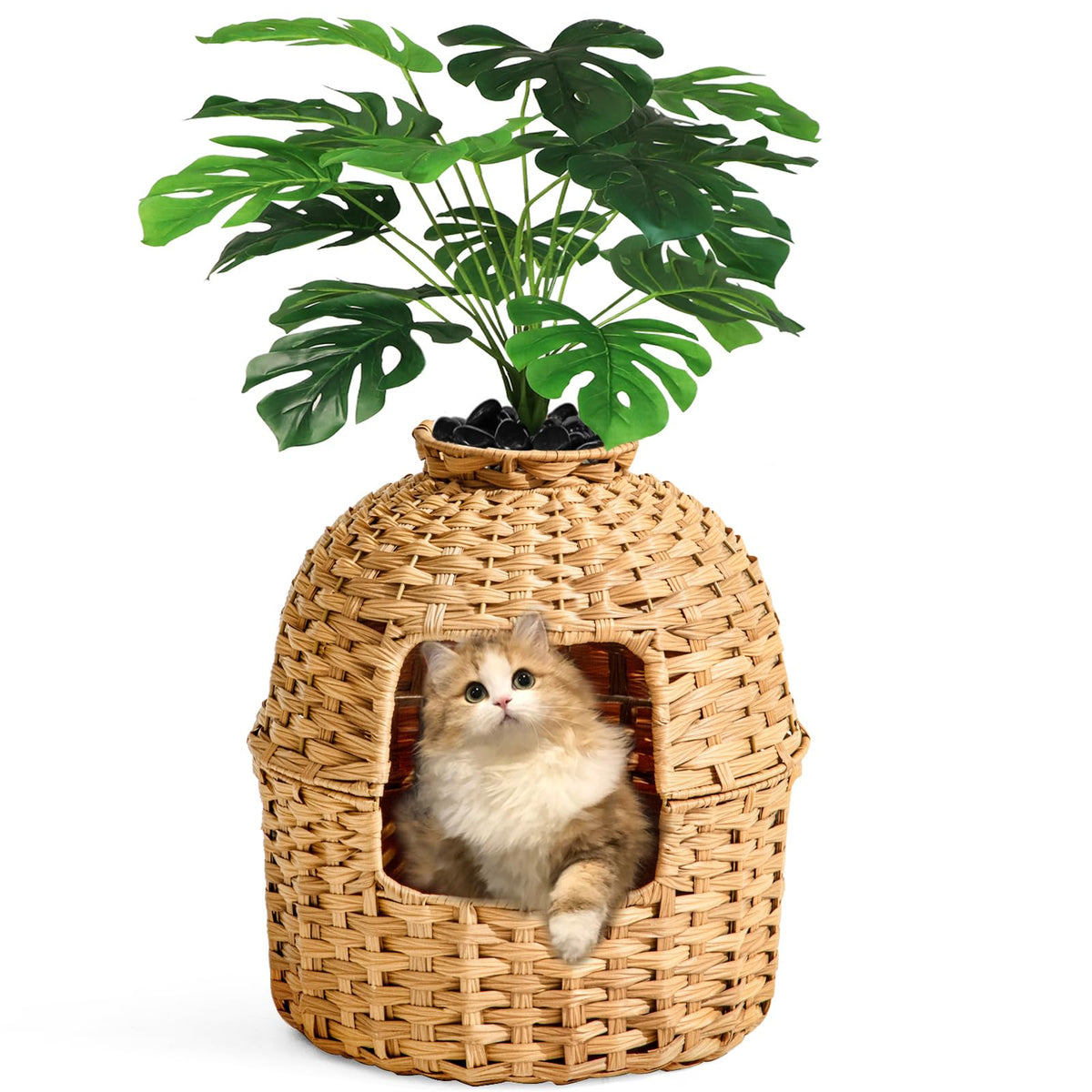 Cat Litter Box Enclosure H825