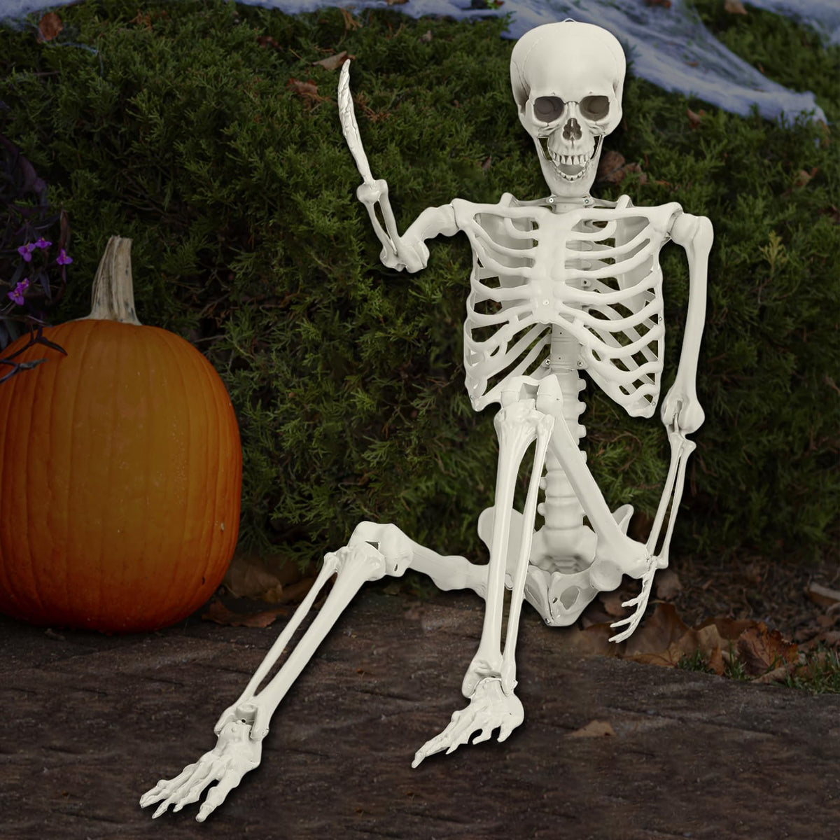 Life Size Poseable Skeleton Prop T1147