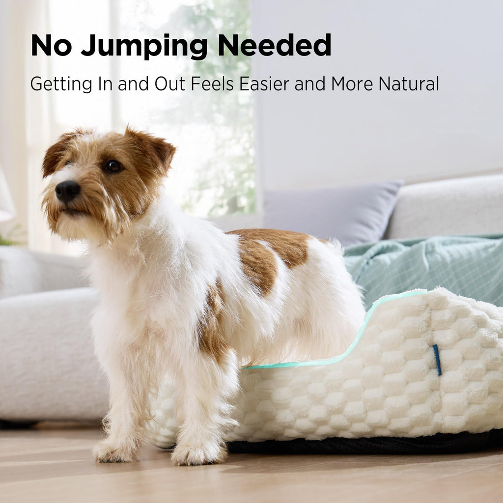 Washable Fluffy Dog Bed N60723