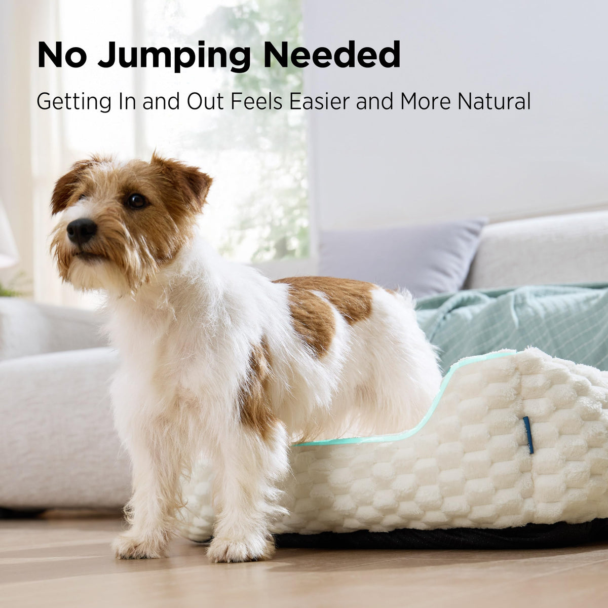 Washable Fluffy Dog Bed N60723