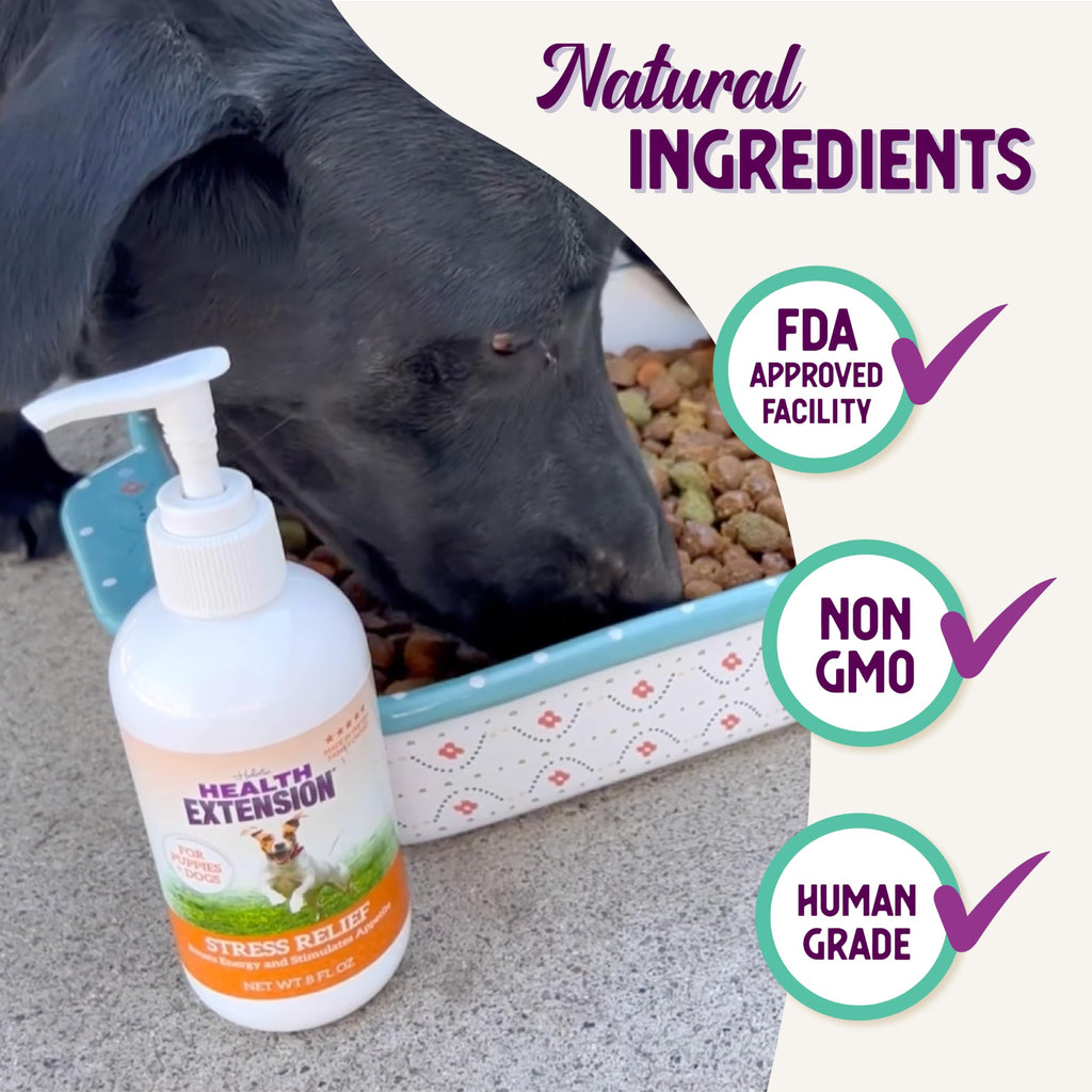 Stress Relief Supplement for Dogs, 8oz L606668