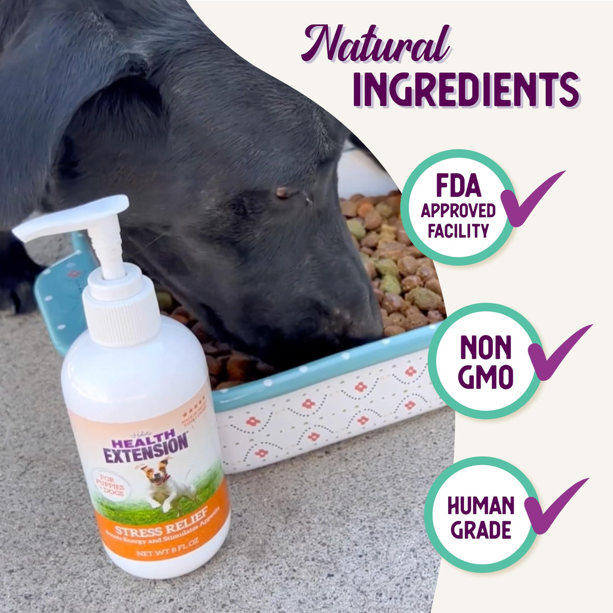Stress Relief Supplement for Dogs, 8oz L606668