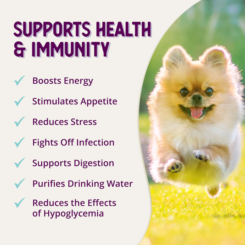 Stress Relief Supplement for Dogs, 8oz L606668