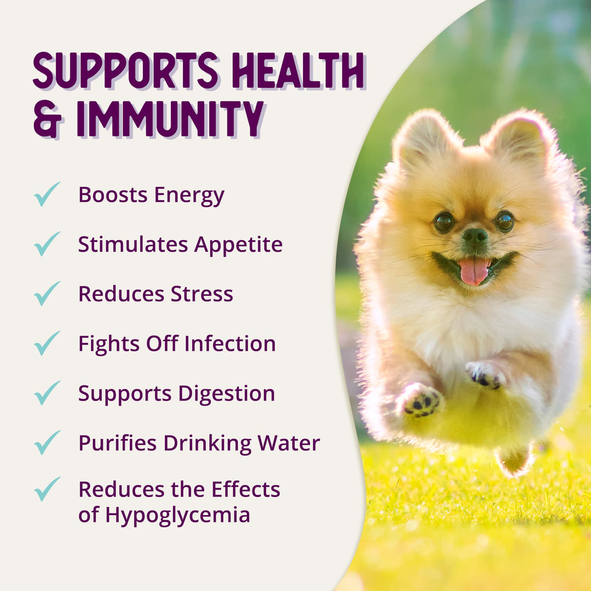 Stress Relief Supplement for Dogs, 8oz L606668