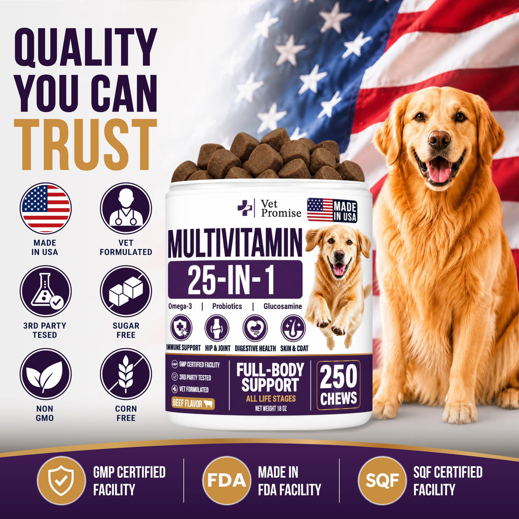 Dog Vitamins and Supplements, 250 Chews X354064