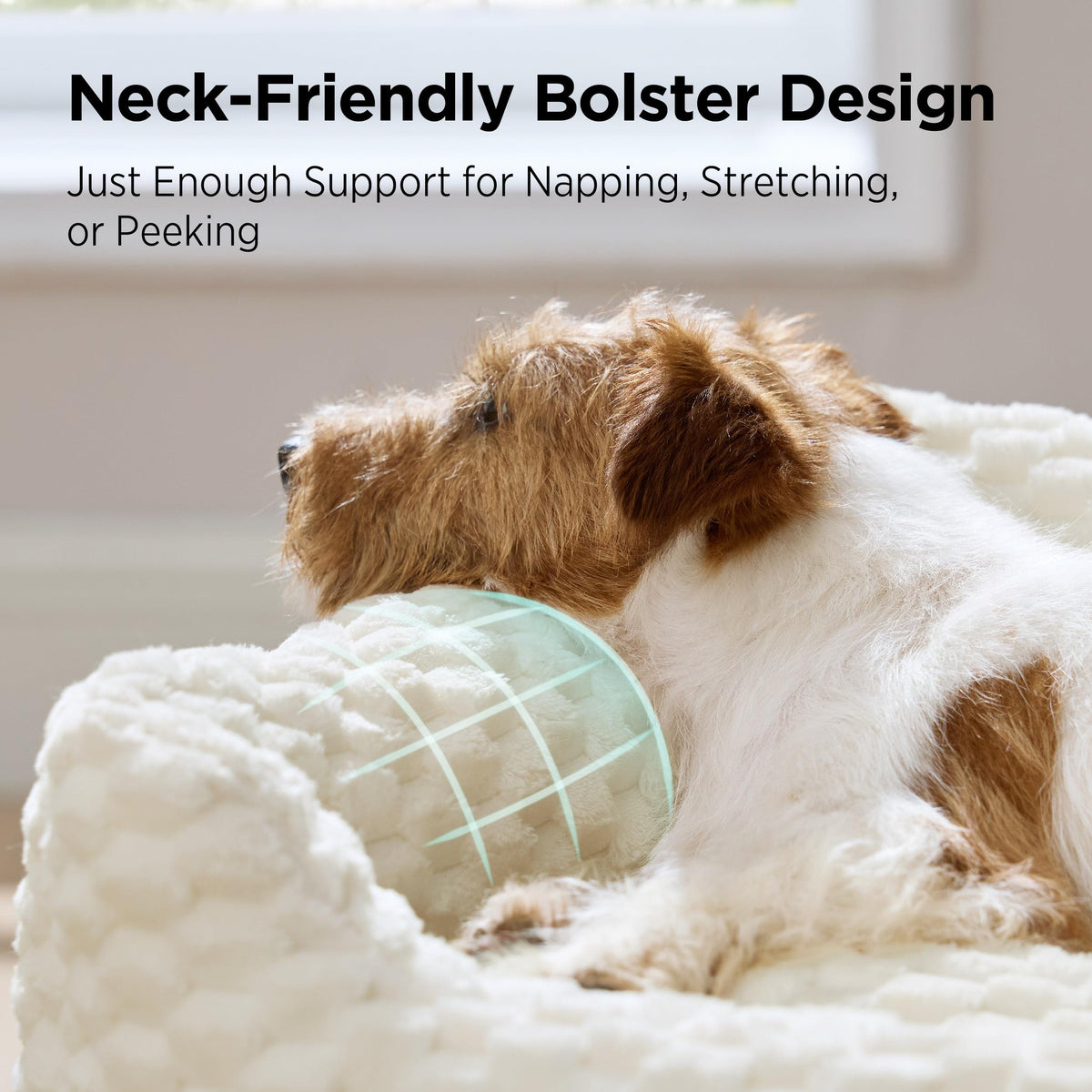 Washable Fluffy Dog Bed N60723