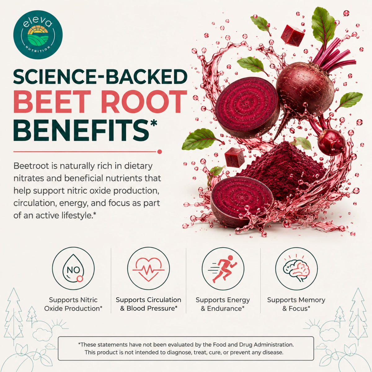 Sugar-Free Beet Root Gummies 90 Chews V951