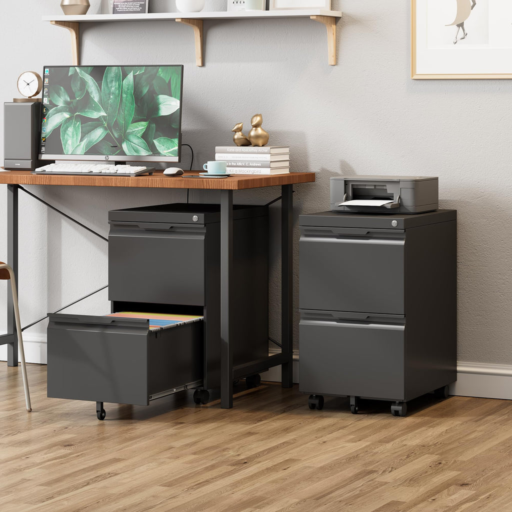 Black 2 Drawer Metal Rolling File Cabinet with Lock D164892