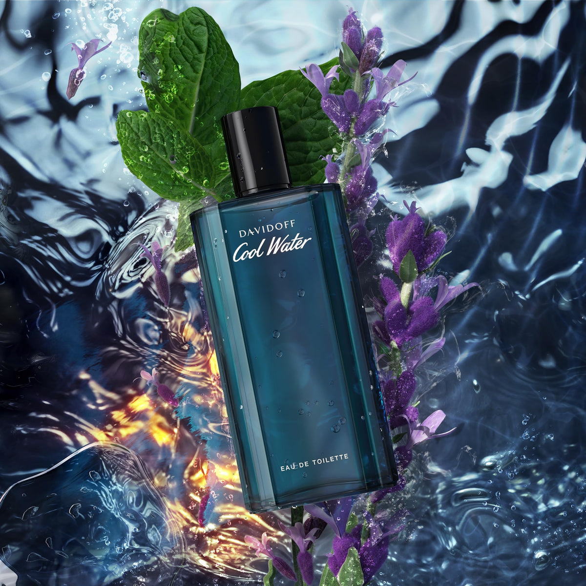Aromatic Eau de Toilette M38717