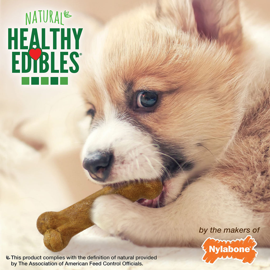 Healthy Edibles Puppy Dog Treats Variety Pack, 3 Count R5810